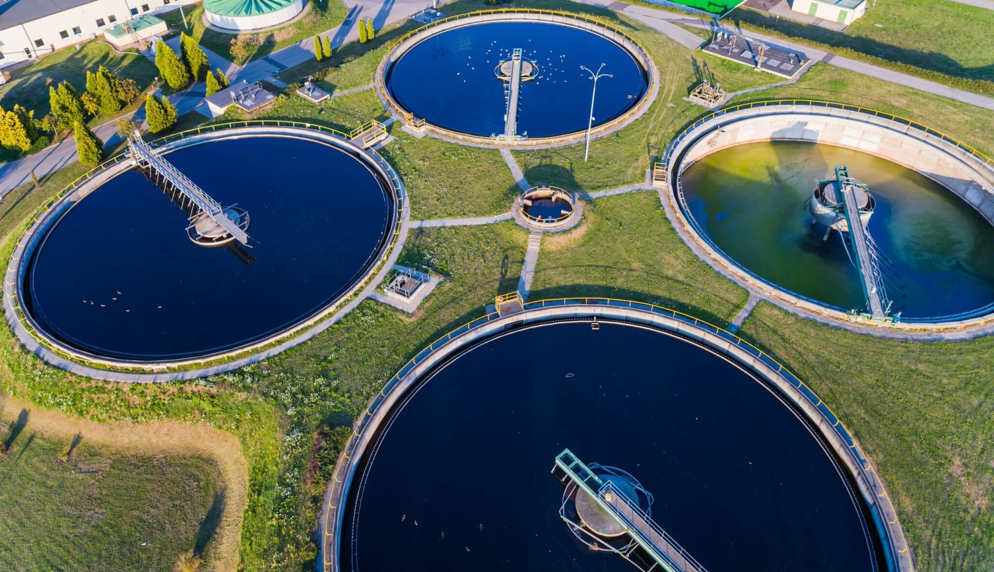 Composites for water waste treatment
